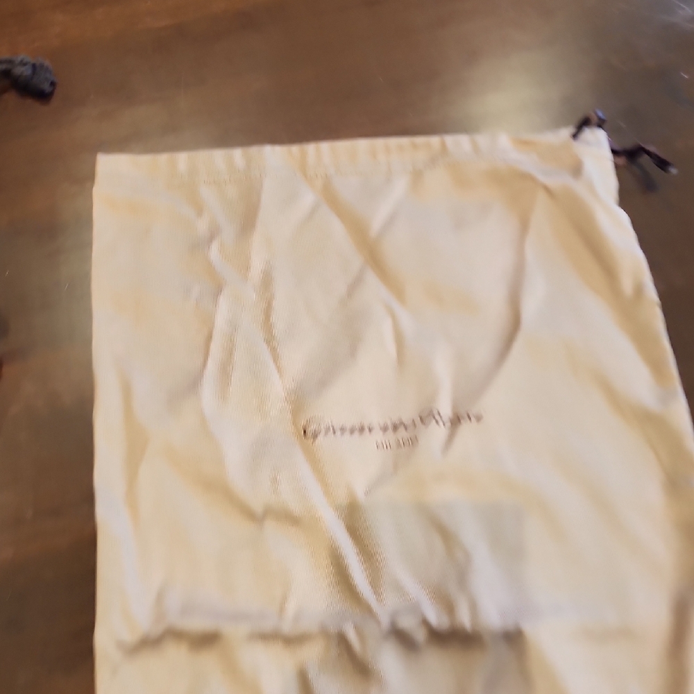 Gianvito Rossi Tan Dust Bag